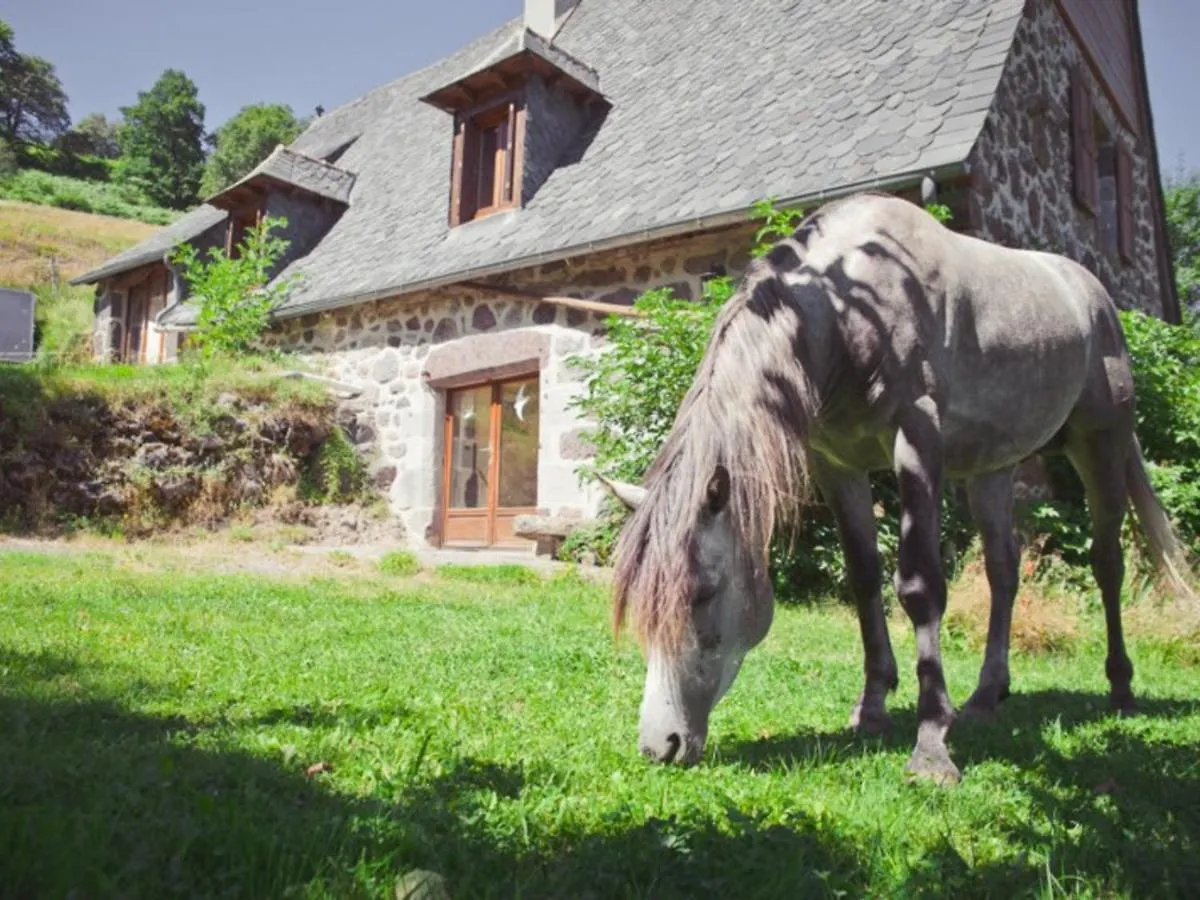 Holiday home Maison De Montagne Avec Jardin, 3 Chambres Pres Super-Lioran - Fr-1-742-79 Thiezac France